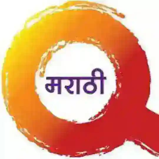 Marathi Television Profile