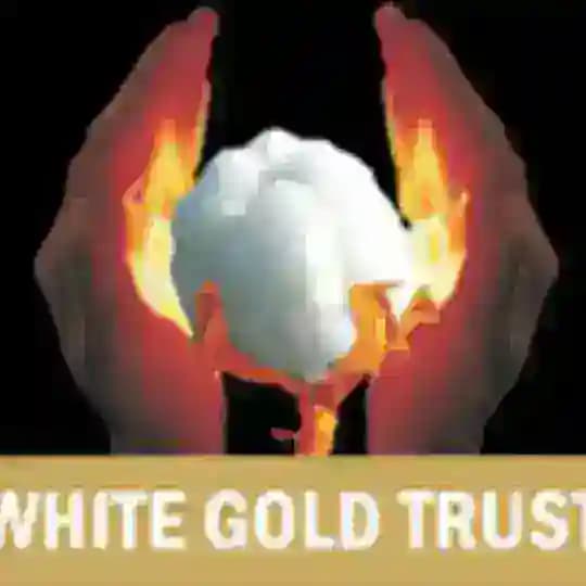 व्हाईट गोल्ड ट्रस्ट, छत्रपती संभाजीनगर (White Gold Trust, Chatrapati Sambhajinagar) Profile