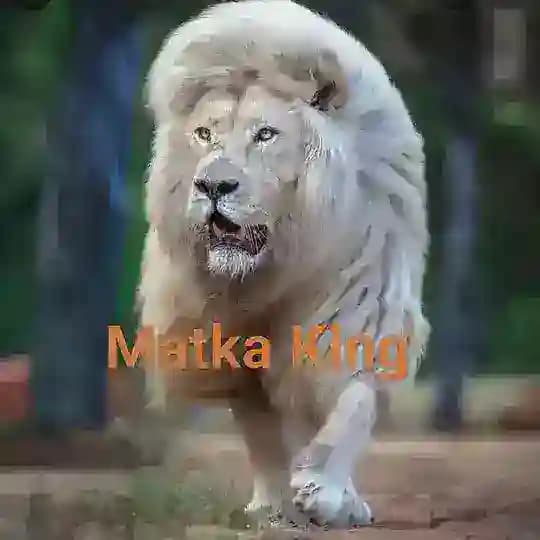 Kalyan Satta matka group Profile